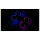 Amewi FightStar Battle Drone RTF pink