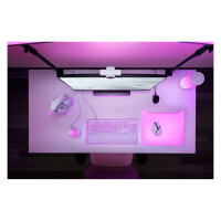 Razer Kamera Kiyo V2 X 1080p weiß