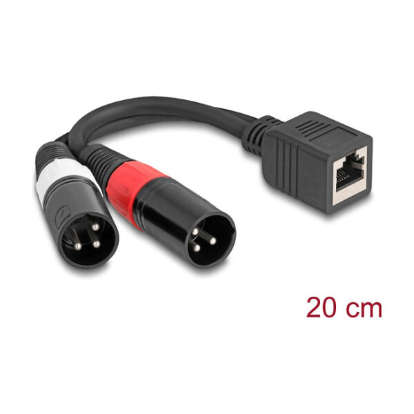 Delock Adapterkabel RJ45 Buchse zu 2 x XLR 3 Pin Stecker schwarz 20 cm