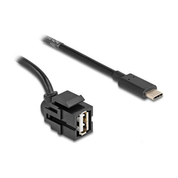 Delock Keystone Modul USB 2.0 A Buchse zu USB Type-C™ Stecker 250° mit Kabel 1,5 m