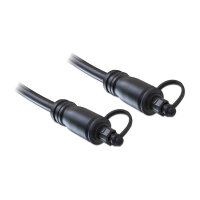 Delock Toslink Kabel Standard Stecker - Stecker 2 m