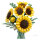 LEGO 11502 Botanicals Sonnenblumen
