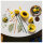 LEGO 11502 Botanicals Sonnenblumen