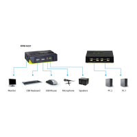 KVM Switch USB 2x Level One Audio