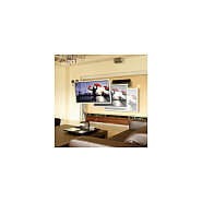 ERGOTRON INTERACTIVE TV ARM 30"-55