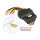 Delock Kabel SATA 15 Pin Strom Stecker mit Einrastfunktion > 2 x SATA 15 Pin Strom Buchse 30 cm