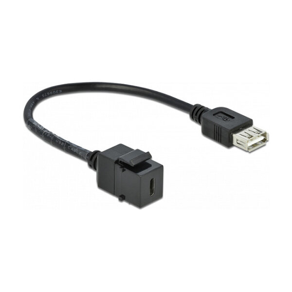 Delock Keystone Modul USB 2.0 C Buchse > USB 2.0 A Buchse mit Kabel