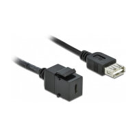 Delock Keystone Modul USB 2.0 C Buchse > USB 2.0 A Buchse mit Kabel