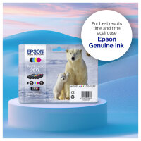 Epson C13T26114012 photo black