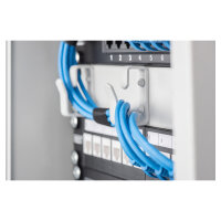 DIGITUS Rangierpanel 1HE 10" 254mm 3x Ringe grau