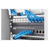 DIGITUS Rangierpanel 1HE 10" 254mm 3x Ringe grau