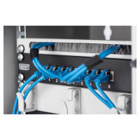 DIGITUS Rangierpanel 1HE 10" 254mm 3x Ringe grau