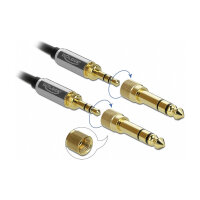 Delock Spiralkabel 3,5 mm 3 Pin Klinkenstecker zu Klinkenstecker mit Schraubadapter 3 m