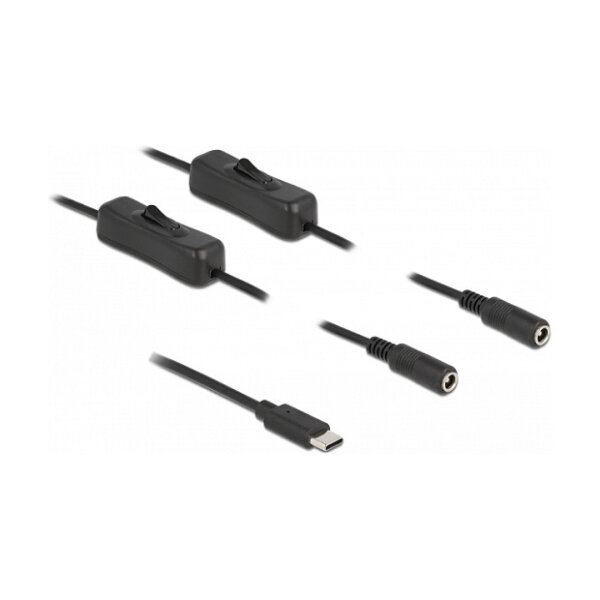 Delock Kabel USB Type-C™ Stecker zu 2 x DC 5,5 x 2,1 mm Buchse mit Schalter 1 m