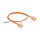 Delock RJ45 Netzwerkkabel Cat.6 UTP Ultra Slim 0,5 m orange mit kurzen Steckern