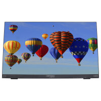 Hannspree 54.6cm (21.5") HT225HPB 16:9 M-Touch HDMI+DP blac