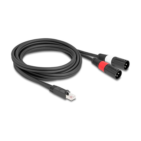 Delock Adapterkabel RJ45 Stecker zu 2 x XLR 3 Pin Stecker schwarz 2 m