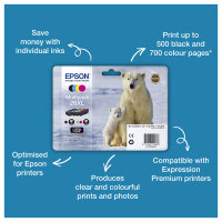 Epson C13T26014012 black