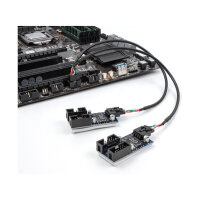 Delock Kabel USB 2.0 Pfostenbuchse 2,54 mm 10 Pin zu 2 x USB 2.0 Pfostenbuchse 2,54 mm 4 Pin 30 cm