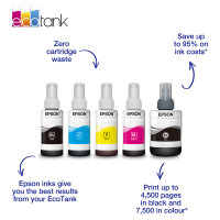 Epson Tinte1LB T6641 ink cartridge black 70ml 1-pack (A)