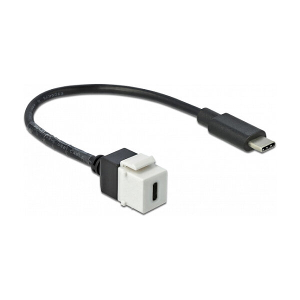 Delock Keystone Modul USB 5 Gbps Type-C™ Buchse zu USB Type-C™ Stecker mit Kabel 25 cm