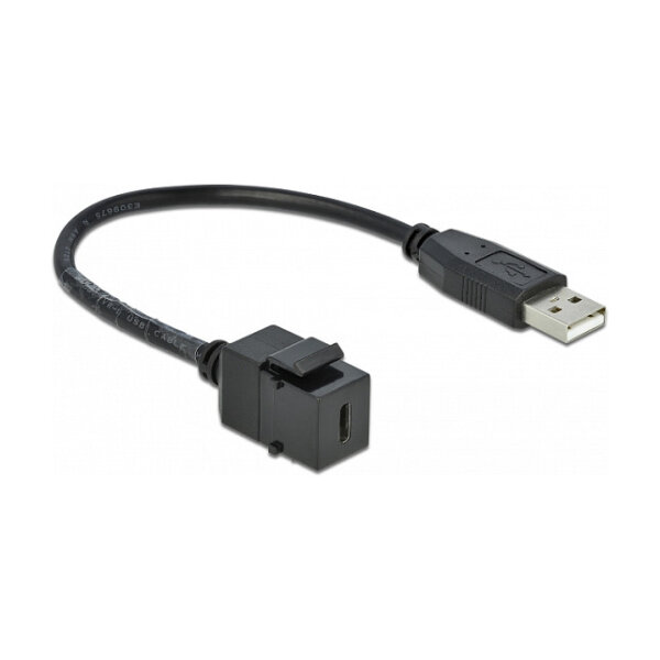 Delock Keystone Modul USB 2.0 C Buchse > USB 2.0 A Stecker mit Kabel