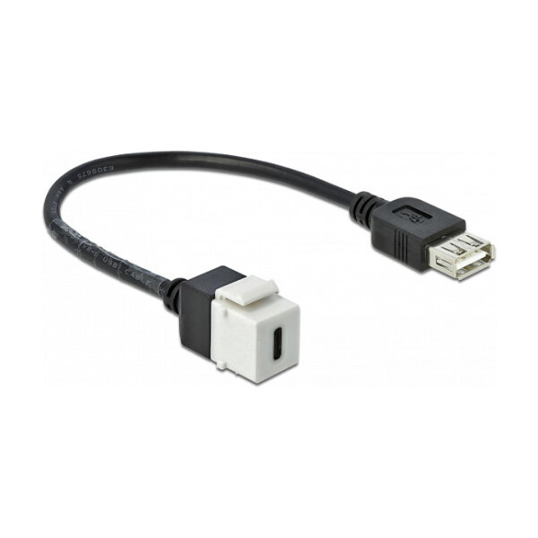 Delock Keystone Modul USB 2.0 C Buchse > USB 2.0 A Buchse mit Kabel