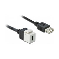 Delock Keystone Modul USB 2.0 C Buchse > USB 2.0 A Buchse mit Kabel