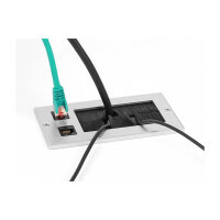 Delock Kabeldurchführung mit Bürste und 2 x RJ45 Keystone Modul Cat.6 Aluminium