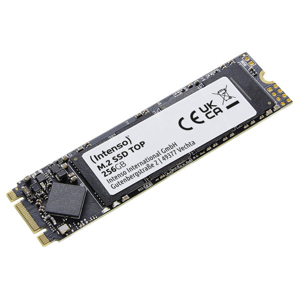 M.2 256GB Intenso Top Performance