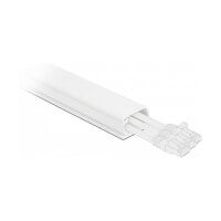 Delock Kabelkanal mit Deckel selbstklebend 35 x 20 mm -...