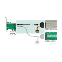 Delock Kabel SFF-8643 Stecker > U.2 SFF-8639 Buchse +...