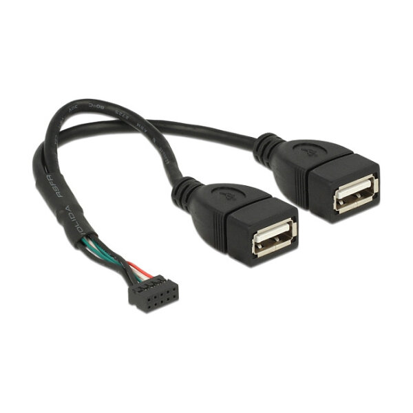 Delock Kabel USB 2.0 Pfostenbuchse 2,00 mm 10 Pin > 2 x USB 2.0 Typ-A Buchse 20 cm
