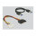 Delock Riser Karte M.2 Key B+M > PCI Express x16 mit 30 cm USB Kabel
