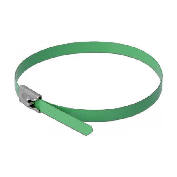 Delock Edelstahlkabelbinder L 200 x B 4,6 mm grün 10 Stück