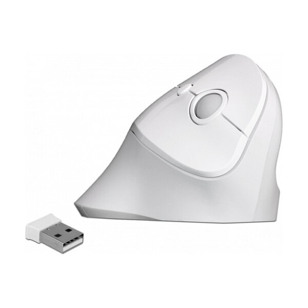 Delock Ergonomische USB Maus vertikal - kabellos