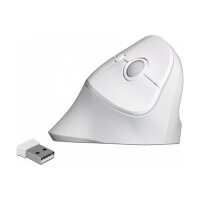Delock Ergonomische USB Maus vertikal - kabellos