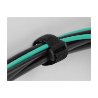 Delock Klett-Kabelbinder mit Schlaufe und Befestigungsöse L 280 x B 38 mm schwarz 3 Stück
