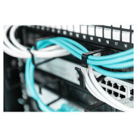DIGITUS Rangierpanel 1HE 19" 4xBügel mit...