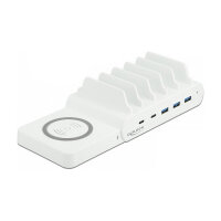 Delock USB und kabelloses Ladegerät 2 x USB...