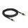 Delock TOSLINK Kabel Standard Stecker - Stecker 2 m