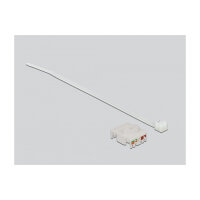 Delock Kabelverbinder RJ45 Buchse zu Cat.6A LSA mit Verschlusskappe wasserfest