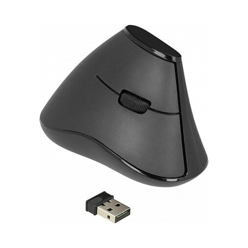 Delock Ergonomische vertikal optische 5-Tasten Maus 2,4 GHz kabellos - Lautlos