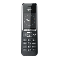 Gigaset E560