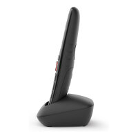 Gigaset E290HX