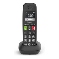Gigaset E290HX