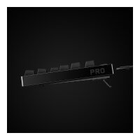 Logitech Gaming Pro USB Qwertz GX Blue Mechanical kabelgebunden Black