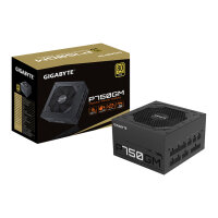 750W Gigabyte P750GM | 80+ Gold Kabelmanagement