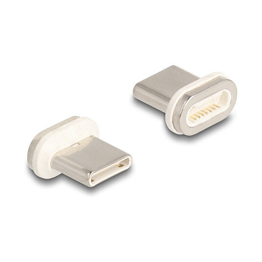 Delock Magnetischer Adapter USB Type-C™ Stecker