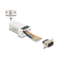 Delock D-Sub 9 Pin Stecker zu RJ45 Buchse Montagesatz weiß